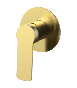 Shower Mixer Brushed Brass Flora Series 03