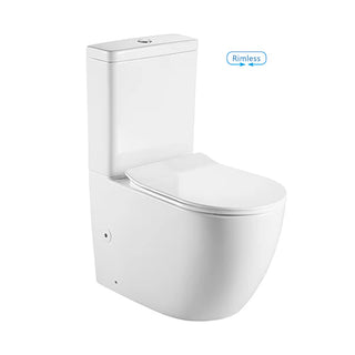 Ascoli Rimless Flushing Back To Wall Toilet Suit