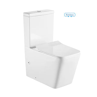 Castera Rimless Flushing Back To Wall Toilet Suit