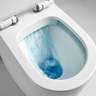 Cortona Wall Hung Rimless Toilet Pan