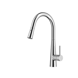 Vanta Pull Out Kitchen Mixer - Chrome