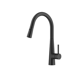 Vanta Pull Out Kitchen Mixer - Matte Black