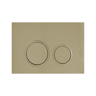 Brushed Brass Round in-wall toilet dual flushing buttons
