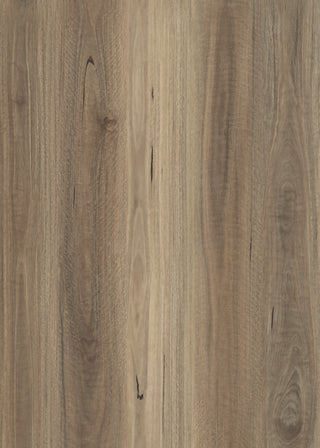 Native Blackbutt Premium Hybrid Flooring 7.5mm