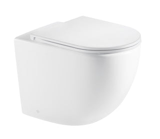 Brighton Rimless Wall Faced Floor Pan Toilet Suit