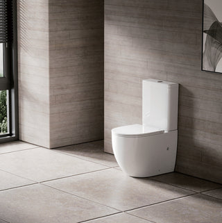 Hamilton Back To Wall Rimless Toilet Suit