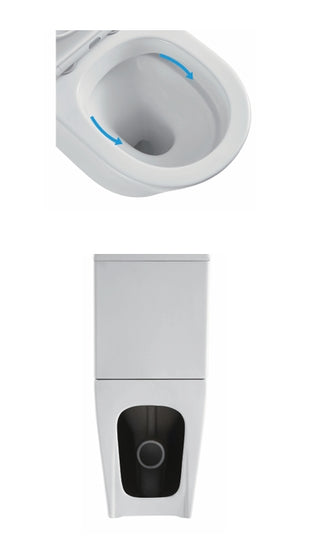 Washington Back To Wall Rimless Toilet Suit