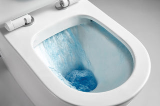 Castera Rimless Flushing Back To Wall Toilet Suit